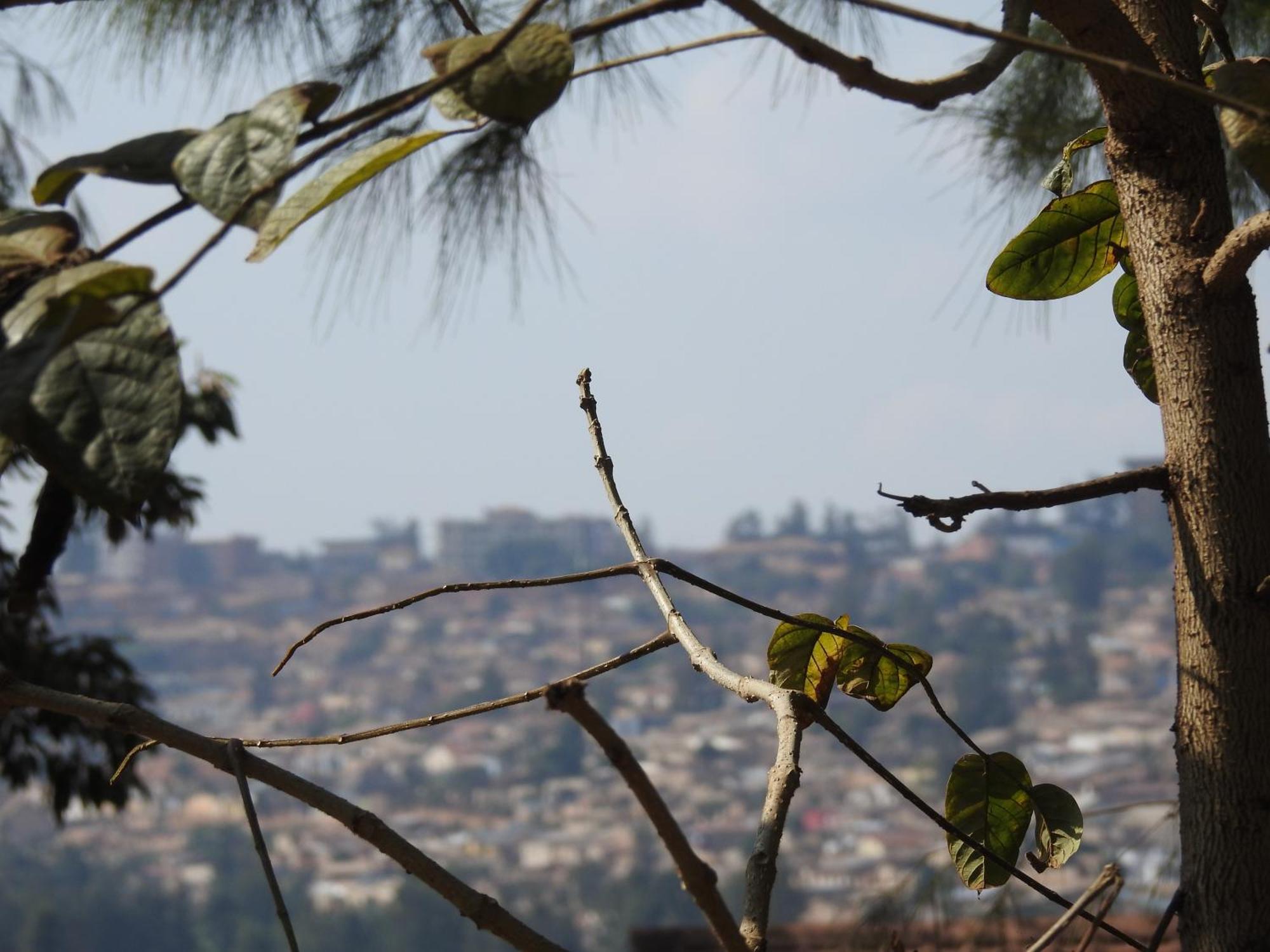 Rwandeka Apartment Kigali Ngoại thất bức ảnh